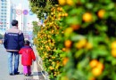 价格降三四成 东莞市区年桔销售仍冷（图）
