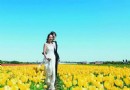 浪漫诱惑郁金香王国荷兰——春天从这里走来