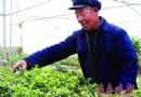 山东：临沂植物园里绿意浓  多种花卉齐开花