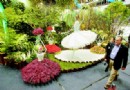 台北国际花卉展昨日开幕各种新品种花团锦簇