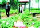 长沙生态园：国色天香惹人醉正是赏花好时节