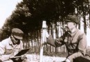 内蒙古赤峰市太平地 昔日沙窝窝 今朝林满田