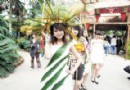 大饱眼福“鲜花时装秀”亮相天津曹庄花卉节