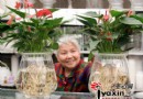 盆上花姿婆娑，盆下鱼儿畅游水培花卉受青睐
