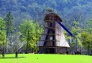 杭州：半个月太子湾草坪全踩秃了要换需12万