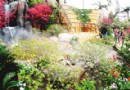 2009上海花卉展隆重召开 姹紫嫣红 景色秀丽