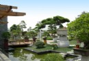 中国常州2009年盆景奇石展销会将在五一举办
