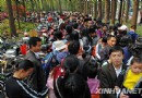 让人反思：杭州取消10元门票 踏平一座公园