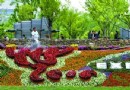 上海世博会倒计时一周年 主题花坛绚烂无比