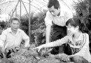 返乡农民工养花致富  年销售额可达500万元