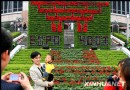 世博会鲜花墙亮相上海街头游人驻足拍照观看
