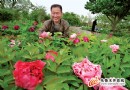 乌鲁木齐市：十四年种牡丹 如今香飘植物园