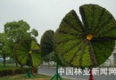 上海：迎世博 绿色“中国扇”亮相上海街头