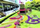 申城绿化街头“拗造型”“魔方”绿雕引游客