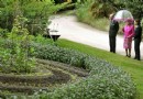 英女王在白金汉宫开菜园 蔬果将成国宴佳肴
