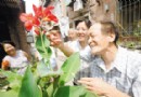七旬老人——养殖花卉获奖又出书 爱花成痴