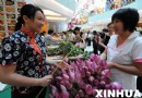 首届“东安市场白洋淀荷花节”在北京开幕