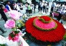 5万购万朵玫瑰送女孩 青年称为祝贺找到工作