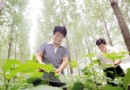 天津宝坻区花卉与芳香植物种植产业带动增收