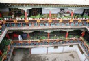 拉让宁巴——西藏千年古柳旁的诗意栖居地