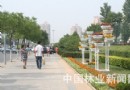 喜迎花博气氛越来越浓 缤纷花塔装点顺义街头