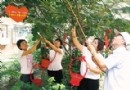 天津居民自家种植150余株无花果树 采摘义卖
