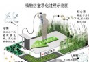 科技前沿：神奇的植物净化 能让你喝洗澡水