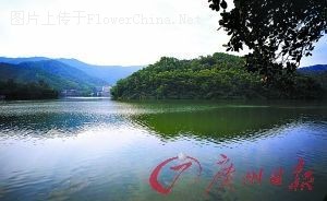 亚运前迎客 广州打造别具风格的森林公园景观
