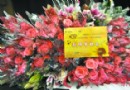 教师节 万朵鲜花送给我们最最亲爱的老师们