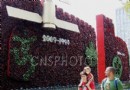 北京：香港澳门主题花坛吸引外国游客目光