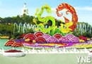 北海公园建起“水上花坛”——“龙凤祥和”