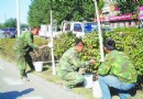 5万多株树木穿上“防寒服” 以防止冬季冻伤