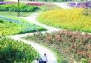 北京——国际鲜花港已完成花博会的准备工作