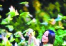 重阳将至 赏花秋游正当时 各景点风光正好