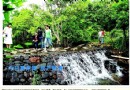 广东：惠阳建绿色文明 打造亚热带植物群落