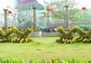 开封菊花展遭破坏现象严重 市民素质有待提高