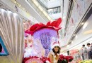 200盆太空鲜花香港商场展出 引来顾客观看