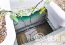 杭州：高架绿化“升级版” 拱墅段率先试运行