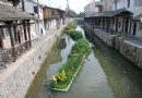 上海：“花草浮岛”水上漂 净化水质有奇效