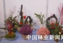 “梦之草”柔姿保鲜花延续鲜花的自然美丽