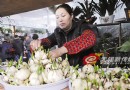 天气渐冷无锡市场“水仙”热卖 深受市民喜爱