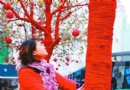 青岛：梧桐树穿上保暖的冬装“红毛衣”保暖