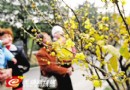 无锡：梅园横山风景区 腊梅花开早 花儿竞艳