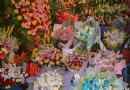 双节来临花卉市场火爆 不同年龄段各有所爱
