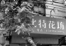 深圳：“挡财树”换个角度变成了“摇钱树”