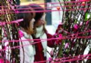 “含苞待放”桃花春节受欢迎 供应有点紧俏