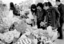 节后花价遭"滑铁卢" 玫瑰每枝由1.5元跌至0.5元