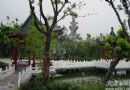 嘉泽花木市场摘取全国花木销售乡镇级冠军