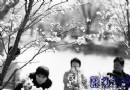 北京：今年遭遇倒春寒 花季“迟到又早退”