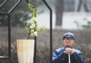 太原——龙潭公园第二届海棠文化艺术节启动